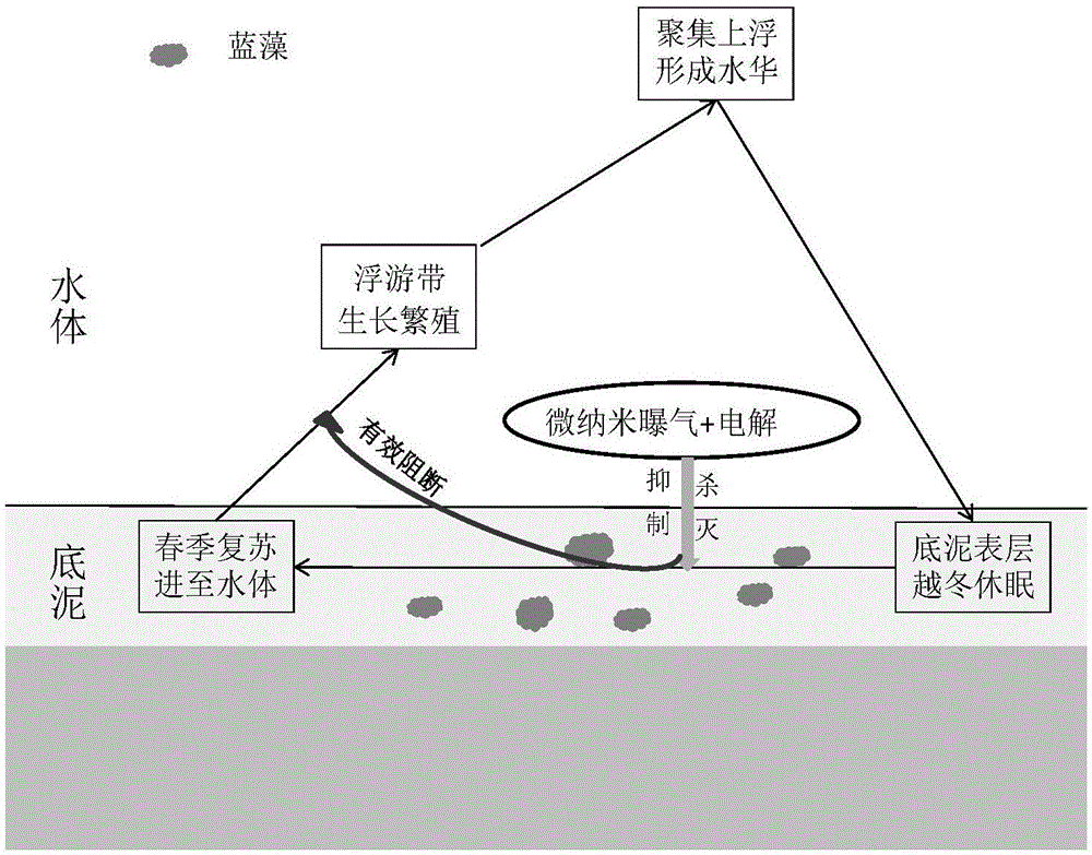  LOL全球总决赛下注官方网站