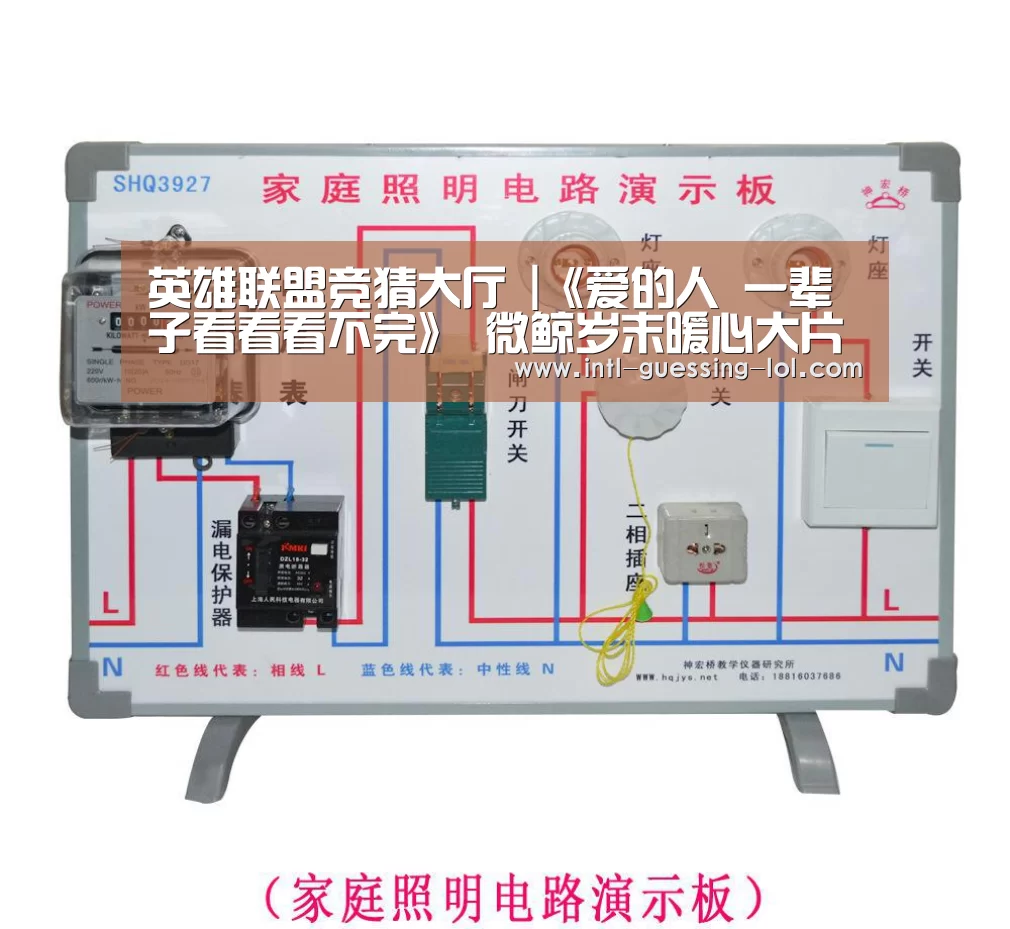 英雄联盟竞猜大厅 |《爱的人 一辈子看看看不完》 微鲸岁末暖